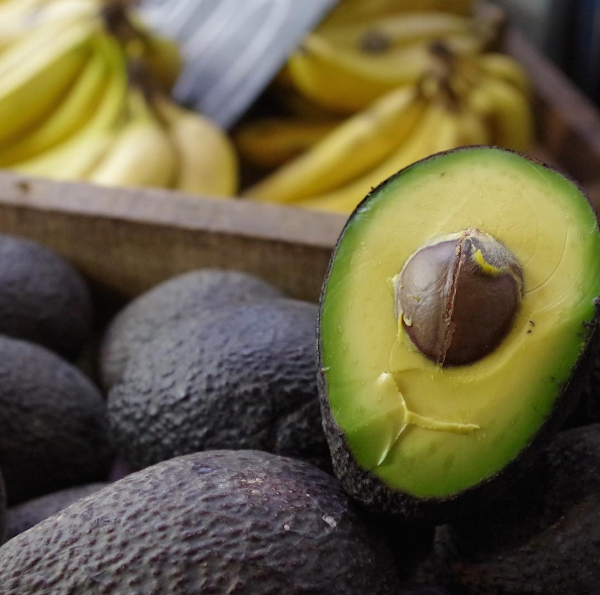 ariadne-artiles-blog-aguacate-16