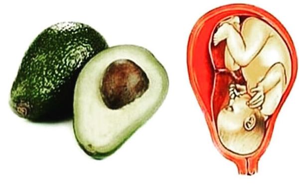 ariadne-artiles-blog-aguacate-bebe