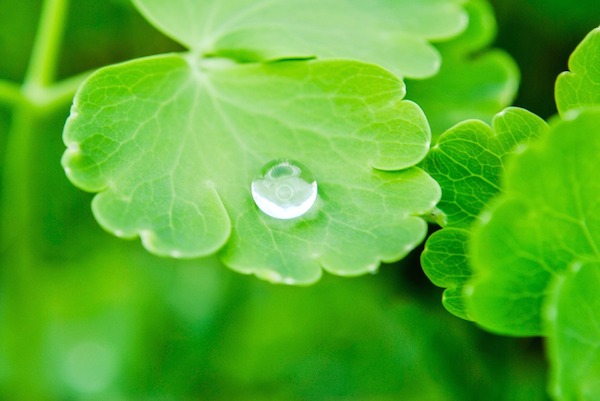 ariadne-artiles-blog-freshly-csometics-contorno-ojos-centella-asiatica
